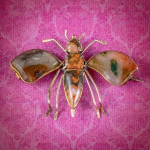 Antique Victorian Agate Insect Brooch 18ct Gold Circa 1860