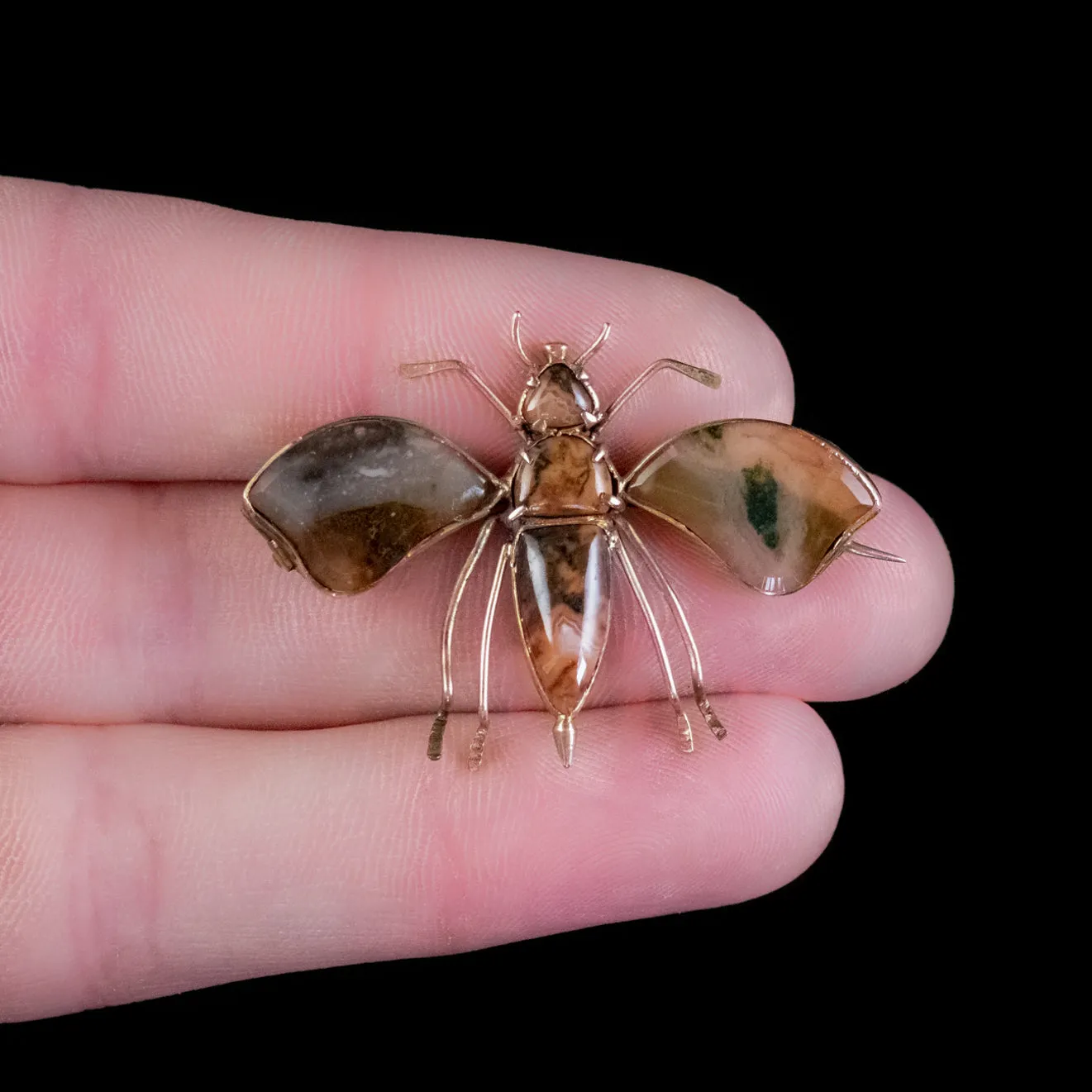 Antique Victorian Agate Insect Brooch 18ct Gold Circa 1860