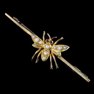 Antique Victorian Pearl Insect Bar Brooch Ruby Eyes 15Ct Gold Circa 1880