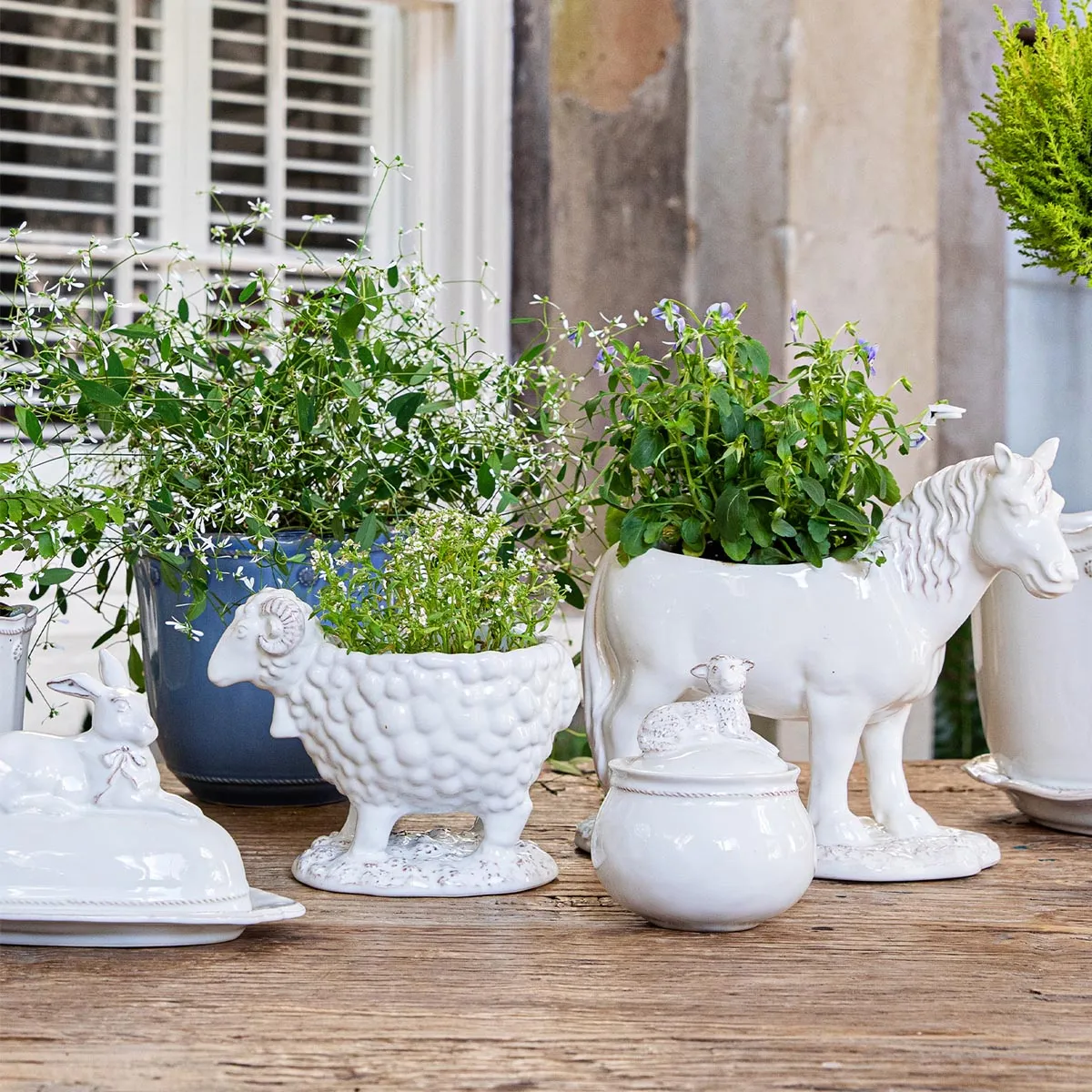 Clever Creatures Bunny Butter Dish
