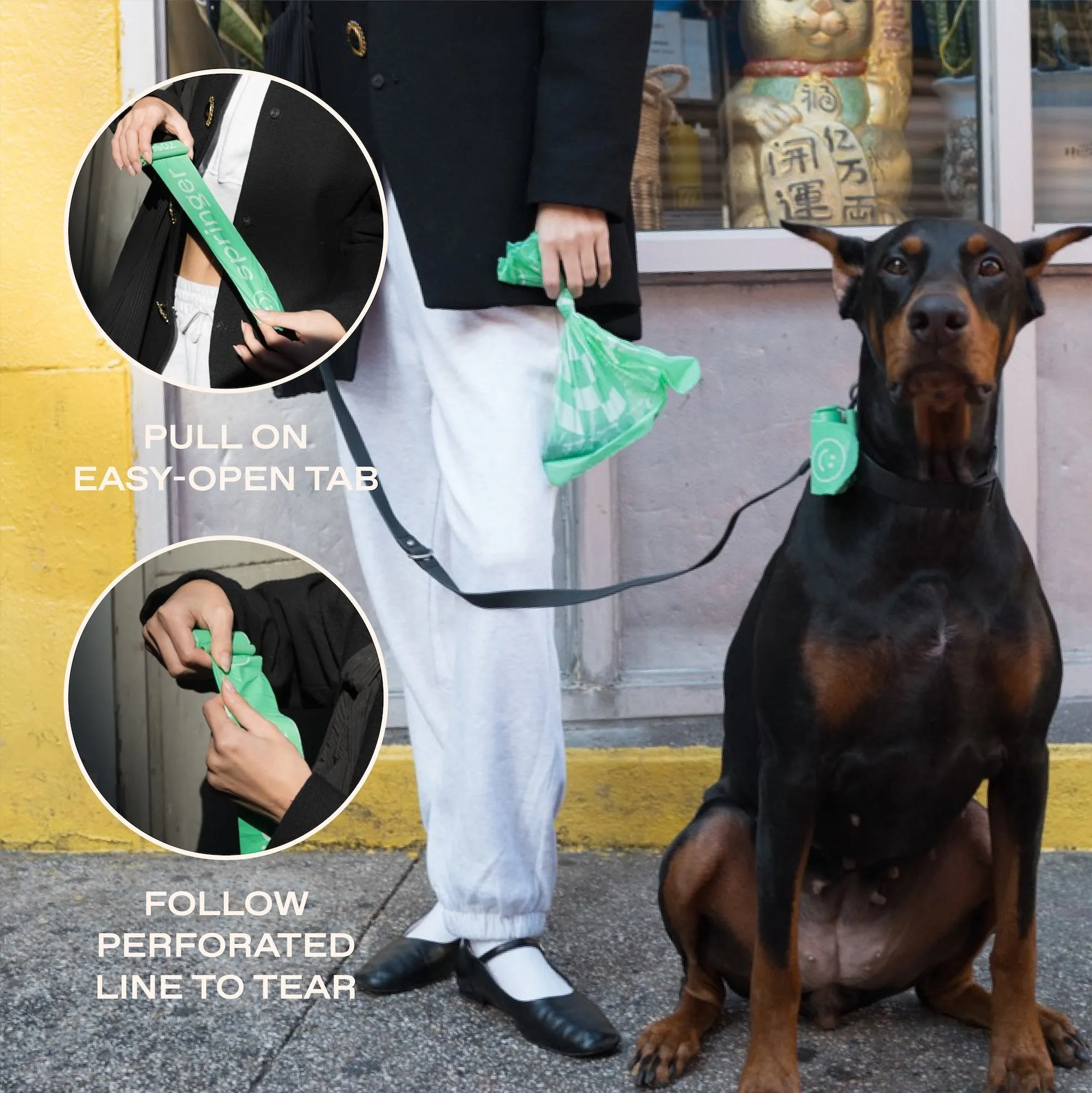 Dog Poop Bag Dispenser   15 Premium Poop Bags