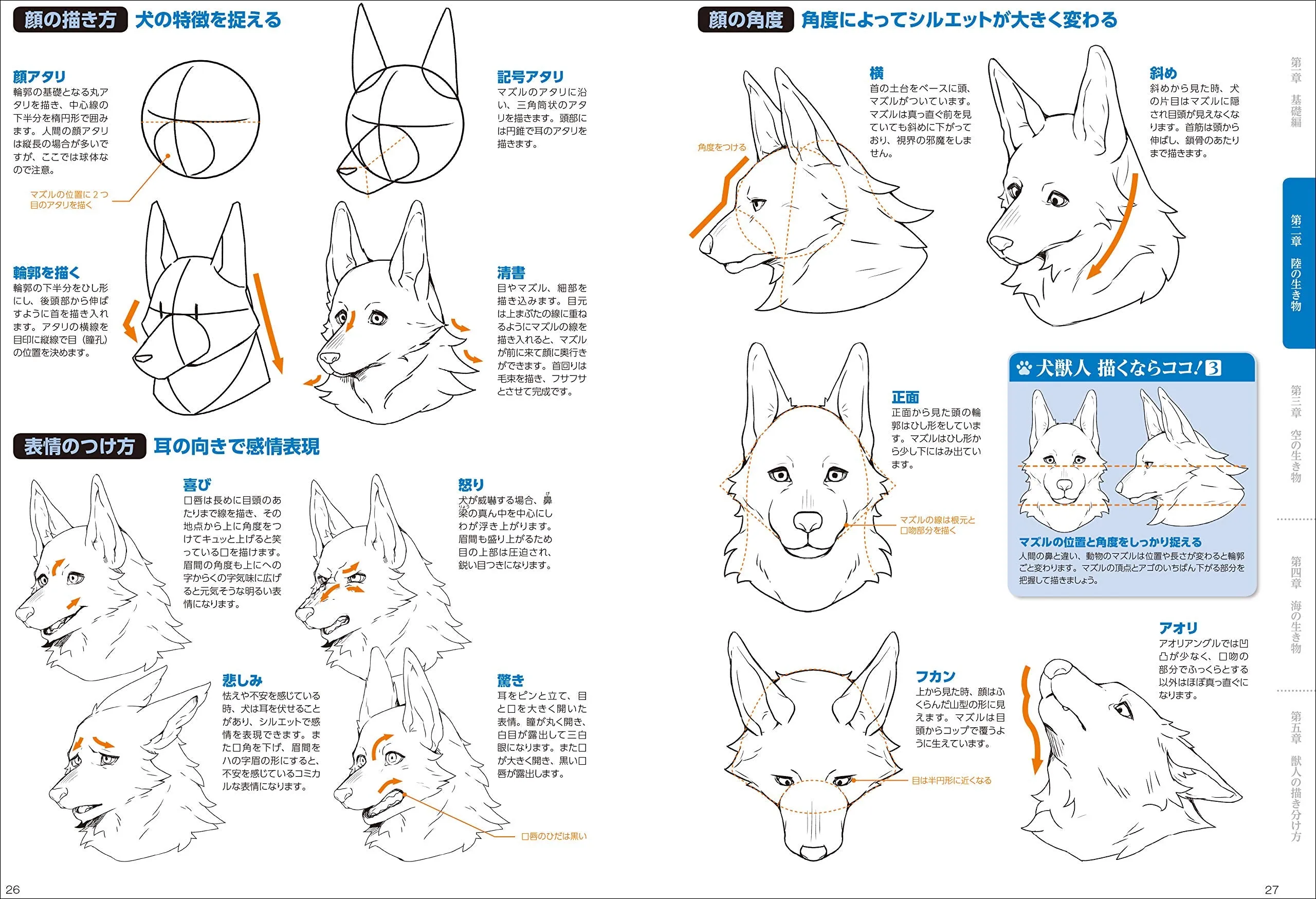 HOW TO DRAW A BEASTMAN
