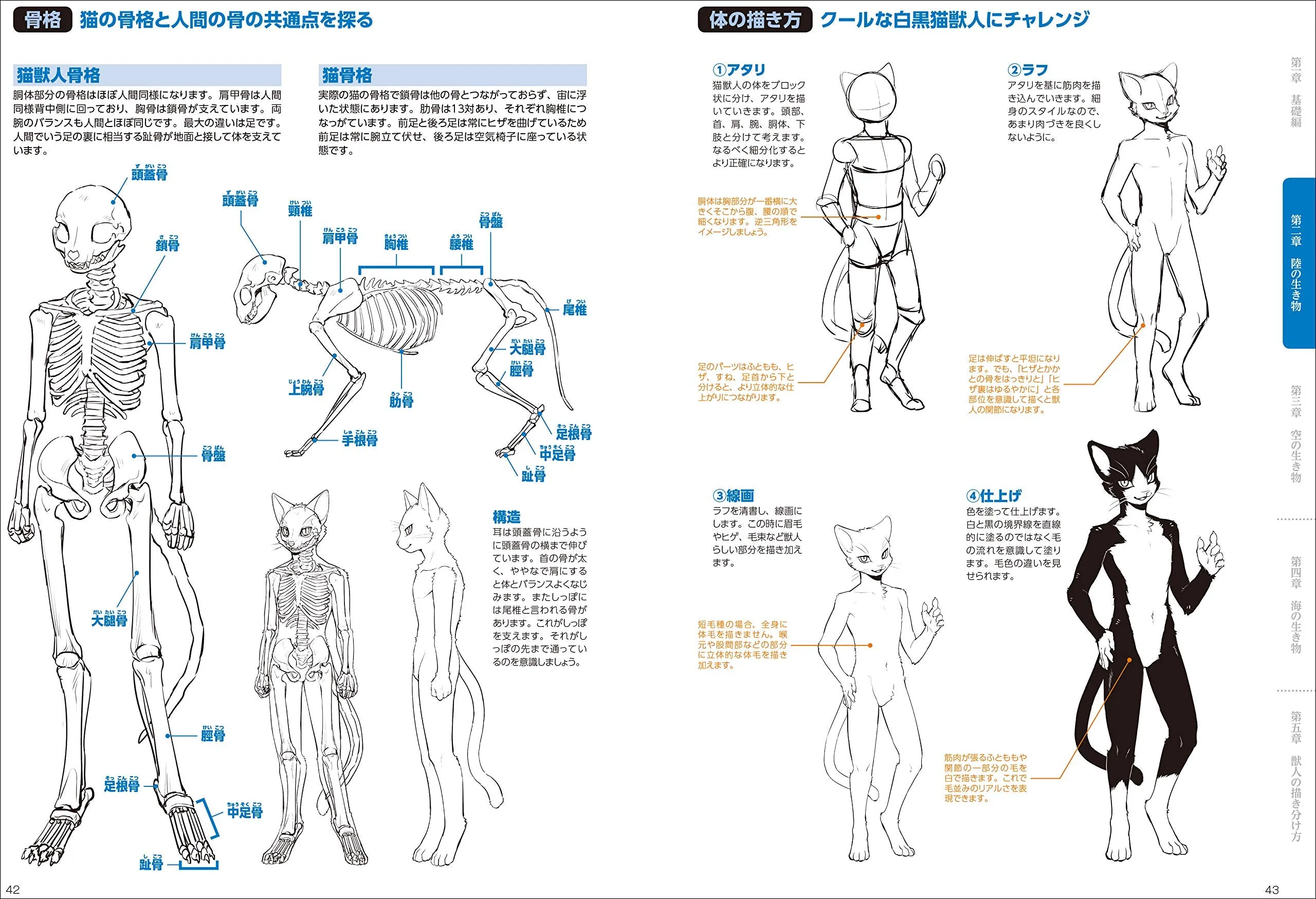 HOW TO DRAW A BEASTMAN