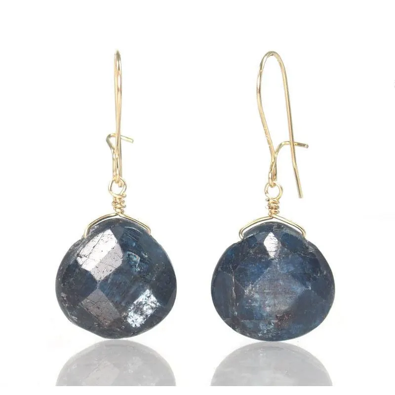 Kyanite Earrings with Gold Filled Kidney Ear Wires