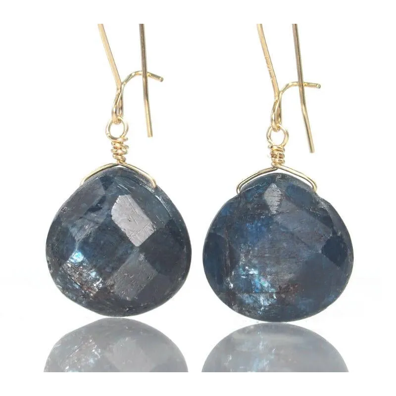 Kyanite Earrings with Gold Filled Kidney Ear Wires