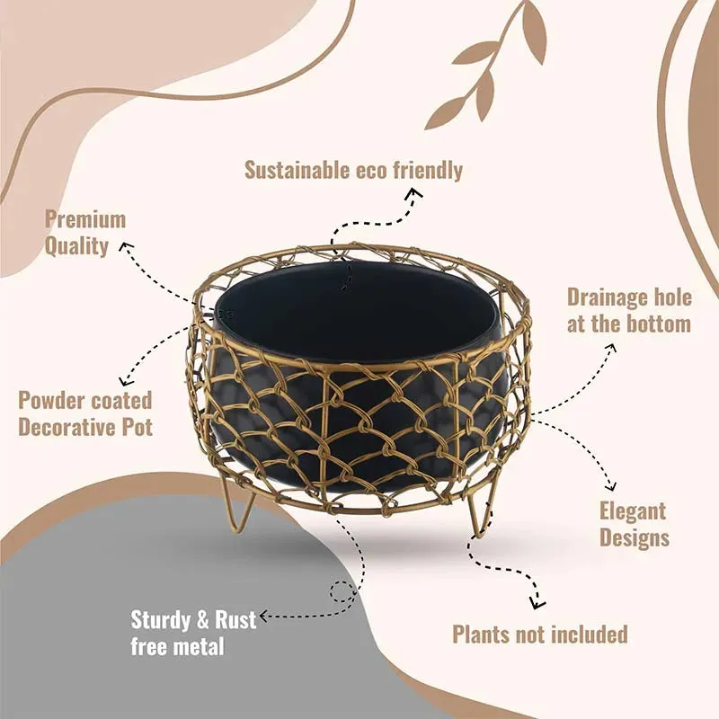 Luxurious Golden Net Black Planter
