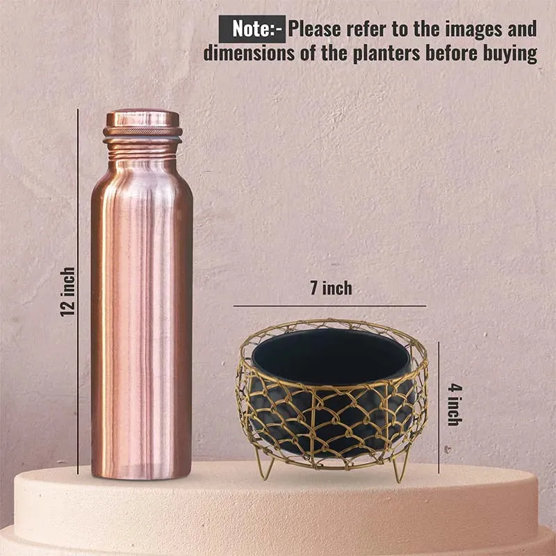 Luxurious Golden Net Black Planter