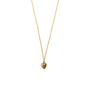 Precious Heart Necklace