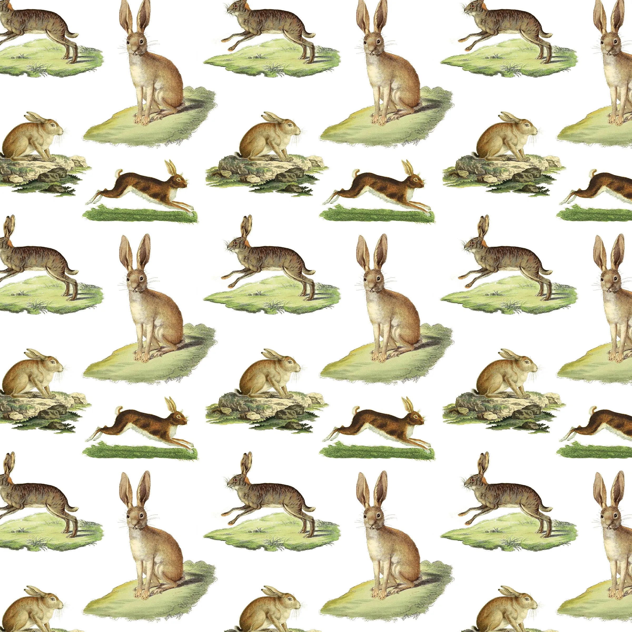 Rabbits Gift Wrap