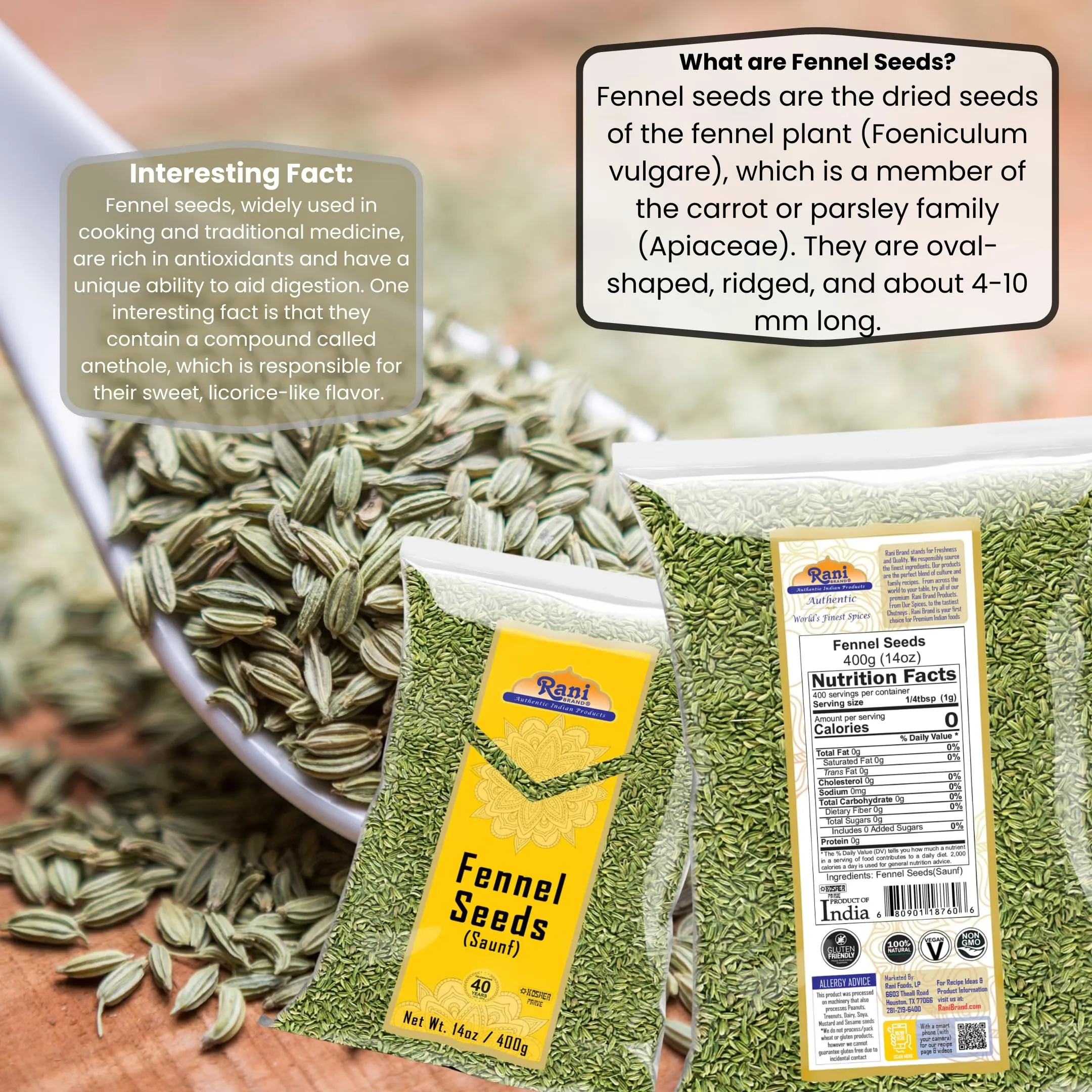 Rani Fennel Seeds (Saunf Sabut) Whole Spice 14oz (400g) All Natural ~ Gluten Friendly | NON-GMO | Kosher | Vegan | Indian Origin