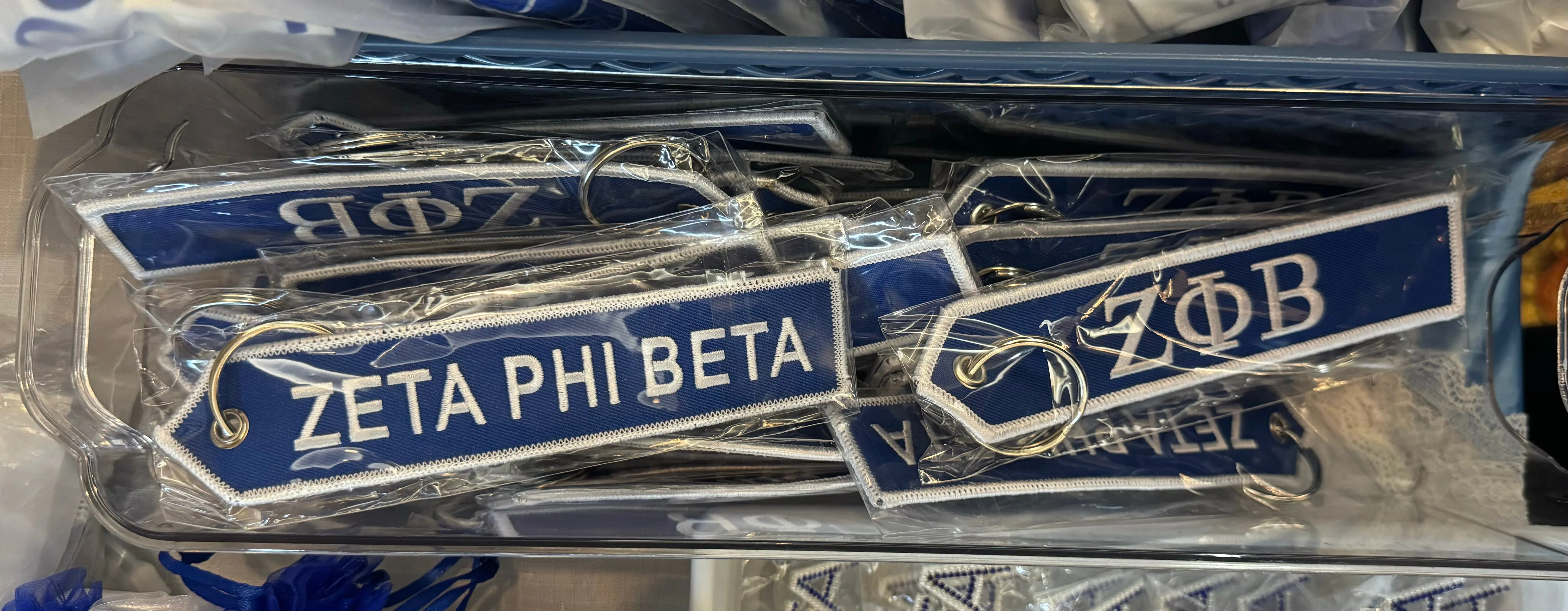 Zeta Key Chain/Bag Tag